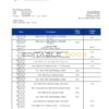 Timor-Leste BNCTL bank statement template in Word and PDF format