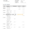 Timor-Leste BNU bank statement template in Word and PDF format