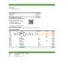 Togo Financial Bank statement, Excel and PDF template