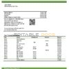 Togo Financial Bank statement template in Word and PDF format