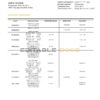Turkey Odeabank bank statement template in .doc and .pdf format