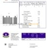 Turkmenistan Turkmengaz utility bill template in Word and PDF format