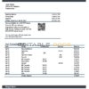 Turkmenistan Rysgal bank statement template, Word and PDF format (.doc and .pdf)