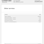 United Arab Emirates Dubai Electricity & Water Authority utility bill template in Word and PDF format (4 pages)
