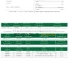UAE Dubai Islamic bank statement template in Word and PDF format in Arabic language, 3 pages