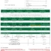 UAE Dubai Islamic bank statement template in Word and PDF format in Arabic language, 3 pages