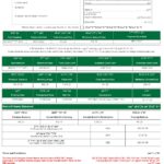 UAE Dubai Islamic bank statement template in Word and PDF format in Arabic language, 3 pages