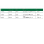 UAE Dubai Islamic bank statement template in Word and PDF format in Arabic language, 3 pages