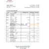 UAE Emirates Investment Bank statement, Excel and PDF template
