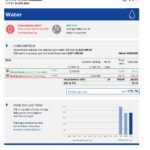 UAE Sharjah Al Ain Distribution Co. Word and PDF utility bill template (5 pages)
