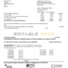 United Kingdom Hull City Council utility bill template in Word and PDF format, 2 pages