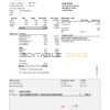 USA ADP Earnings statement template in .xls and .pdf file format