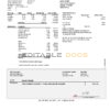 USA ADP Earnings statement template in Word and PDF format