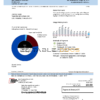 USA Indiana electricity utility bill template in Word and PDF format (.doc and .pdf)