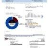 USA Michigan electricity utility bill template in Word and PDF format
