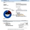USA AEP Texas electricity utility bill template in Word and PDF format