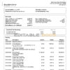 USA Ally Bank statement template in Word and PDF format (4 pages)
