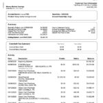 USA Ally Bank statement template in Word and PDF format (4 pages)