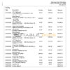 USA Ally Bank statement template in Word and PDF format (4 pages)