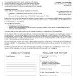 USA Ally Bank statement template in Word and PDF format (4 pages)