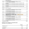 USA Austin bank statement, Word and PDF template, 2 pages