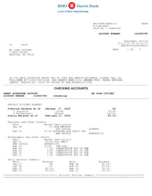 USA Editable Templates 13 USA BMO Harris bank statement Word and PDF template, 3 pages 1