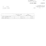 USA BMO Harris bank statement Word and PDF template, 3 pages