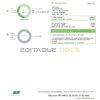 USA Maryland Baltimore Gas and Electric (BGE) utility bill template in Word and PDF format (2 pages)