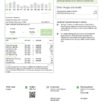 USA Maryland Baltimore Gas and Electric (BGE) utility bill template in Word and PDF format (2 pages)