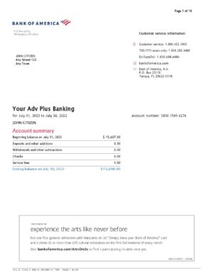 USA Editable Templates 6 USA Bank of America bank statement Word and PDF template (10 pages), version 5