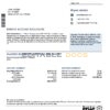 USA Bank of the West bank statement template in Word and PDF format