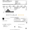 USA Nevada Big Bend Water District utility bill template in Word and PDF format