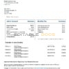 USA Bluebird bank statement Word and PDF template