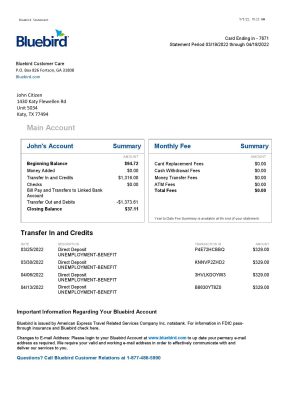 USA Bluebird bank statement Word and PDF template