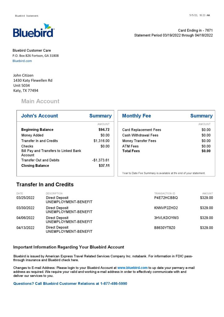 USA Bluebird bank statement Word and PDF template