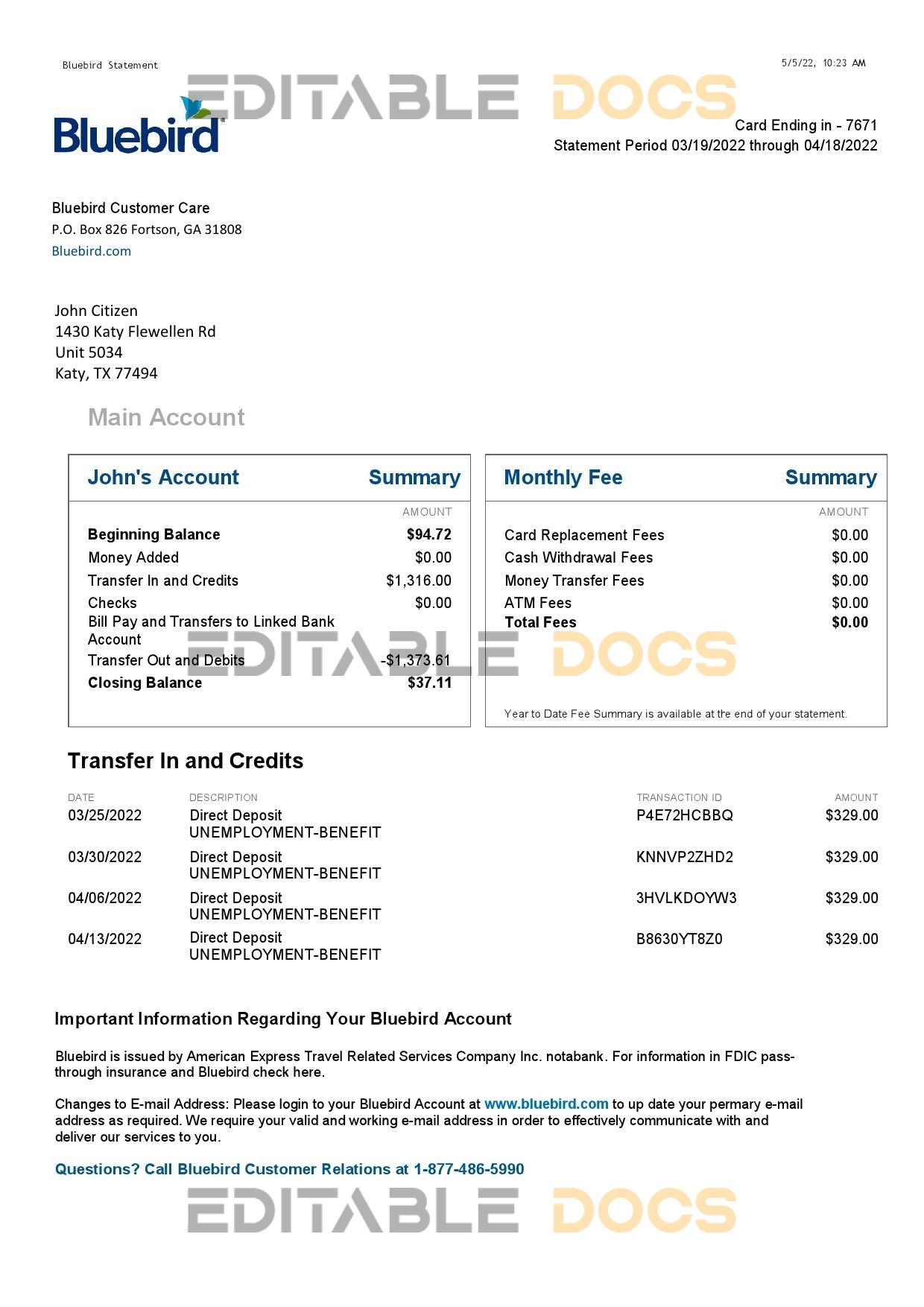 USA Bluebird bank statement Word and PDF template