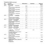 USA CIBC bank statement, Word and PDF template, 4 pages