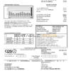 USA Texas CPS utility bill template in Word and PDF format
