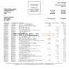 USA Capitec bank statement Word and PDF template