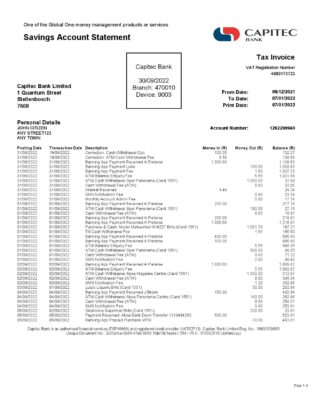 USA Capitec bank statement Word and PDF template