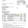 USA Chase account statement template in Word and PDF format, good for address prove