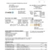 USA Chase bank Mastercard card statement easy to fill template in Word and PDF format