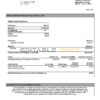 USA Citibank bank statement, Word and PDF template, 6 pages