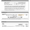 USA Citibank bank statement, Word and PDF template, 6 pages