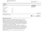 USA Citizens bank statement, Word and PDF template, 4 pages