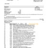 USA Citizens bank statement template in Excel and PDF format, (4 pages) good for address prove