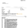 USA Citizens bank statement template in Word and PDF format, (4 pages) good for address prove