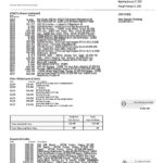 USA Citizens bank statement template in Word and PDF format, (4 pages) good for address prove