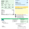 USA Florida City of Edgewater utility bill template in Word and PDF format