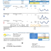 USA Georgia City of Albany water and electricity utility bill template in Word and PDF format